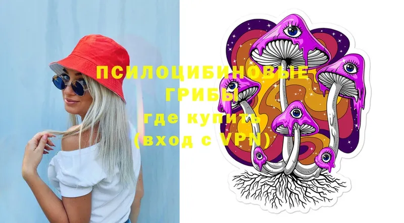 kraken как зайти  купить  сайты  Котлас  Галлюциногенные грибы Cubensis 